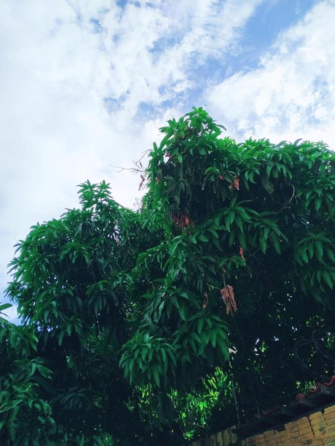 Pousada Sol De Iracema Centro Pensão Fortaleza (Ceara)